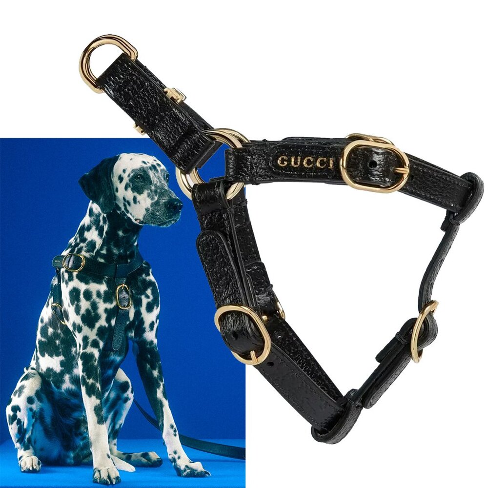 GUCCI PET HARNESS 695253 BLACK LEATHER w LOGO GOLD TONE HARDWARE sz L / LARGE